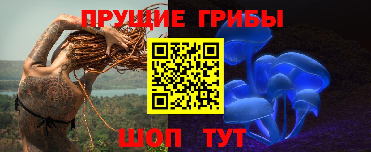 Шебекино  Галлюциногенные грибы Psilocybine cubensis  Вход с VPN 